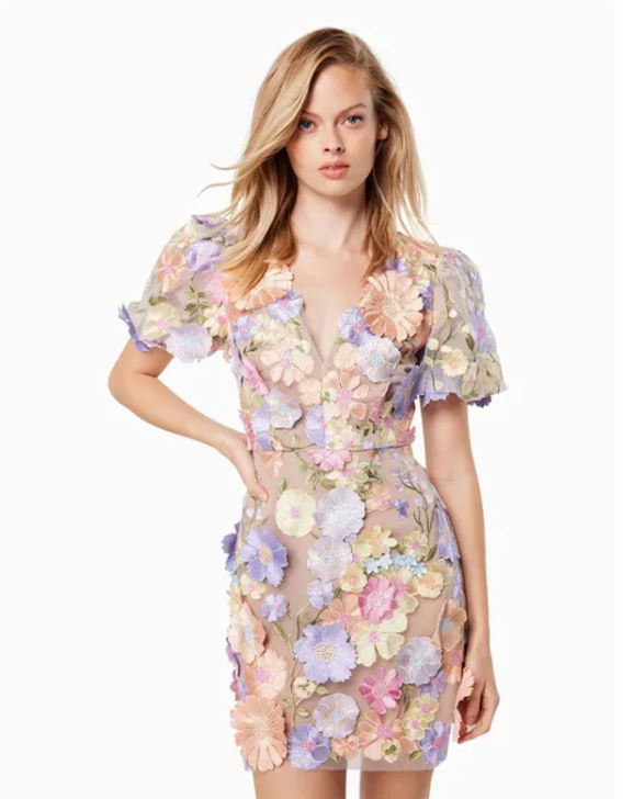 Elegant Floral V-Neck Lantern Sleeve Dress